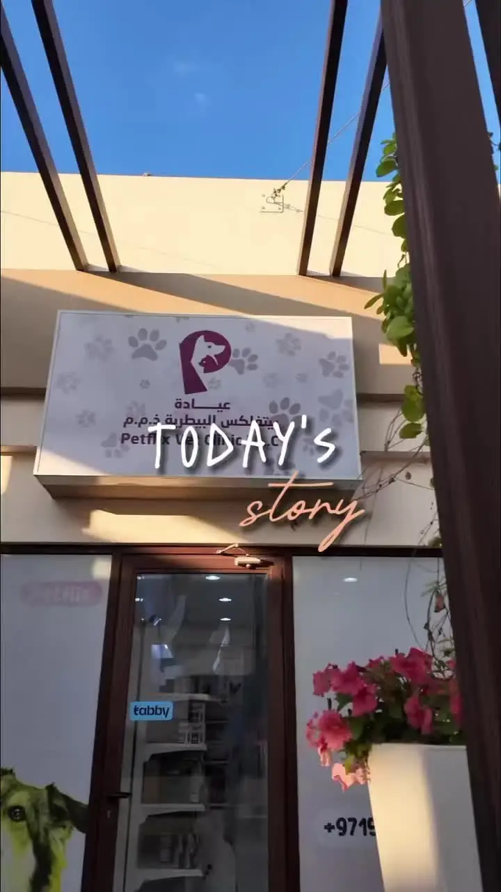 The Petflix entrance sign seen from outside at Samari Retail, Ras Al Khor Industrial 3