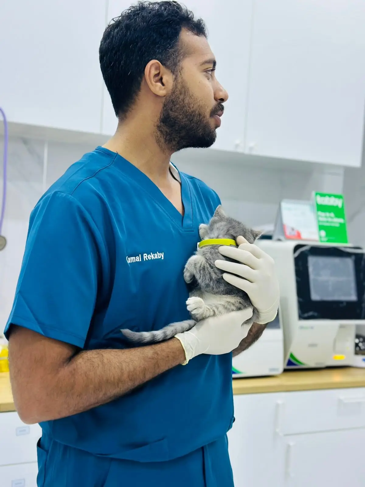 A Petflix vet in blue scrubs and gloves holds a small grey kitten against his chest, with two blood analysers on the counter behind him