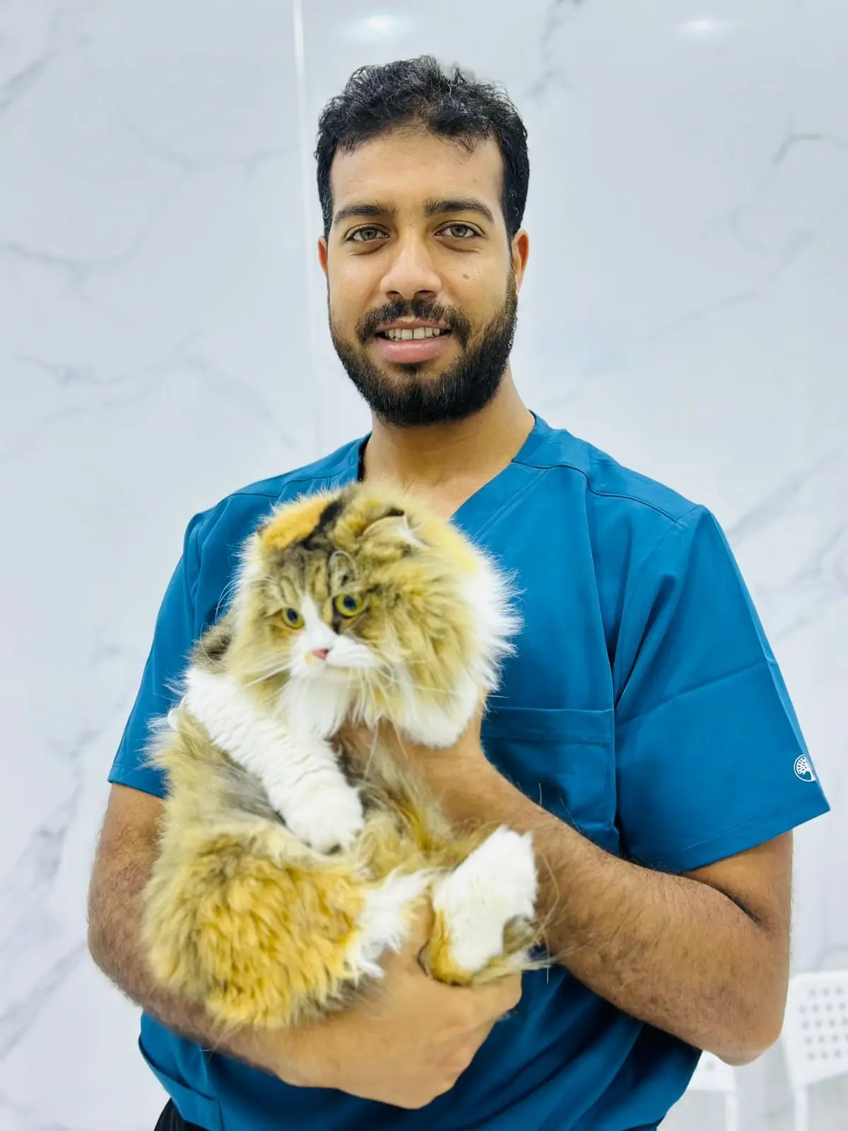 A vet holds a long-haired cat after its check-up