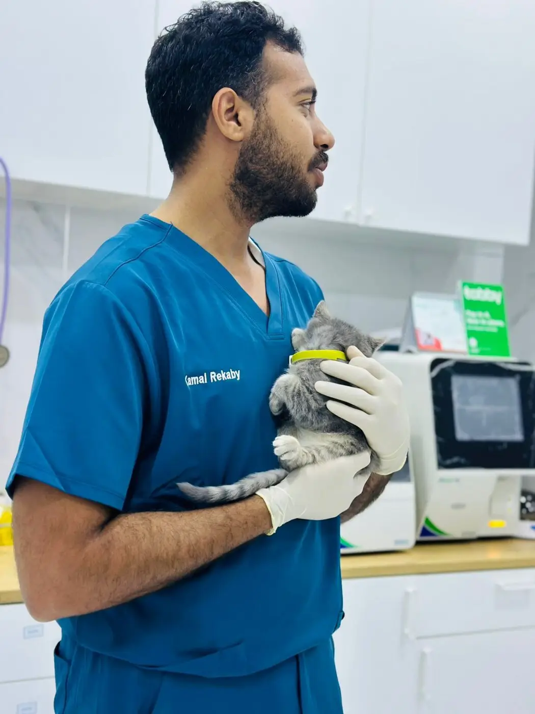 Male vet in blue scrubs cradling grey kitten, side profile, analyser behind