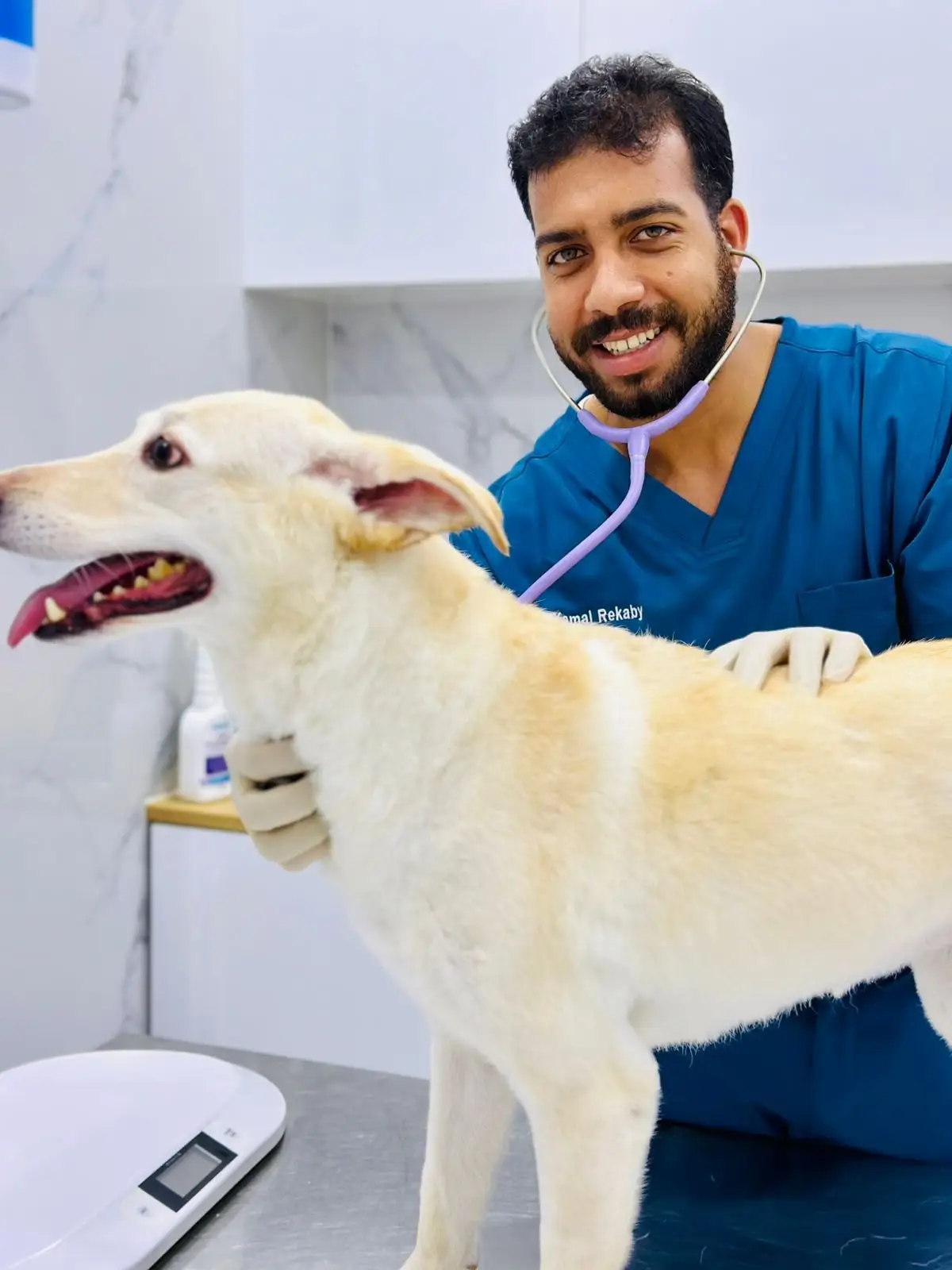 A Petflix vet in blue scrubs with a stethoscope steadies a cream-coloured dog standing on the exam table